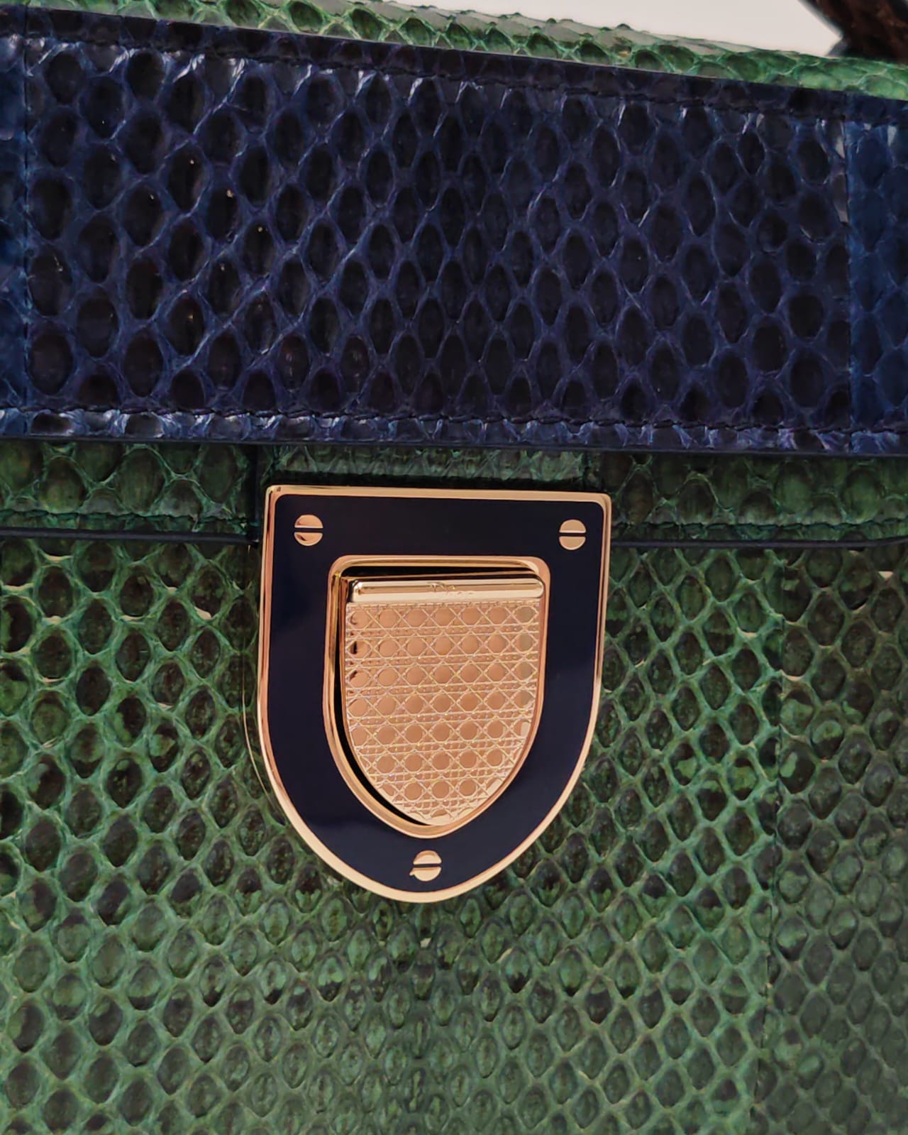 Christian Dior Exotic Python-Embossed Structured Bag in Emerald & Midnight Blue