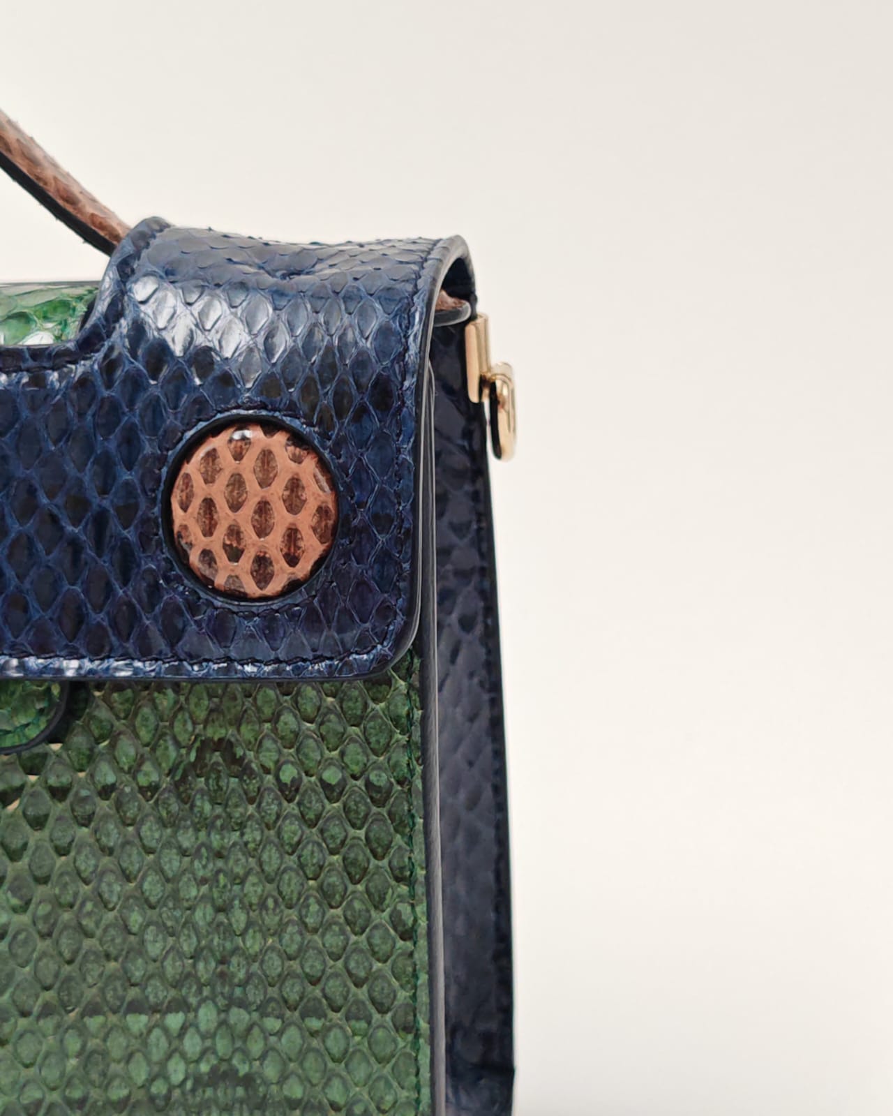Christian Dior Exotic Python-Embossed Structured Bag in Emerald & Midnight Blue