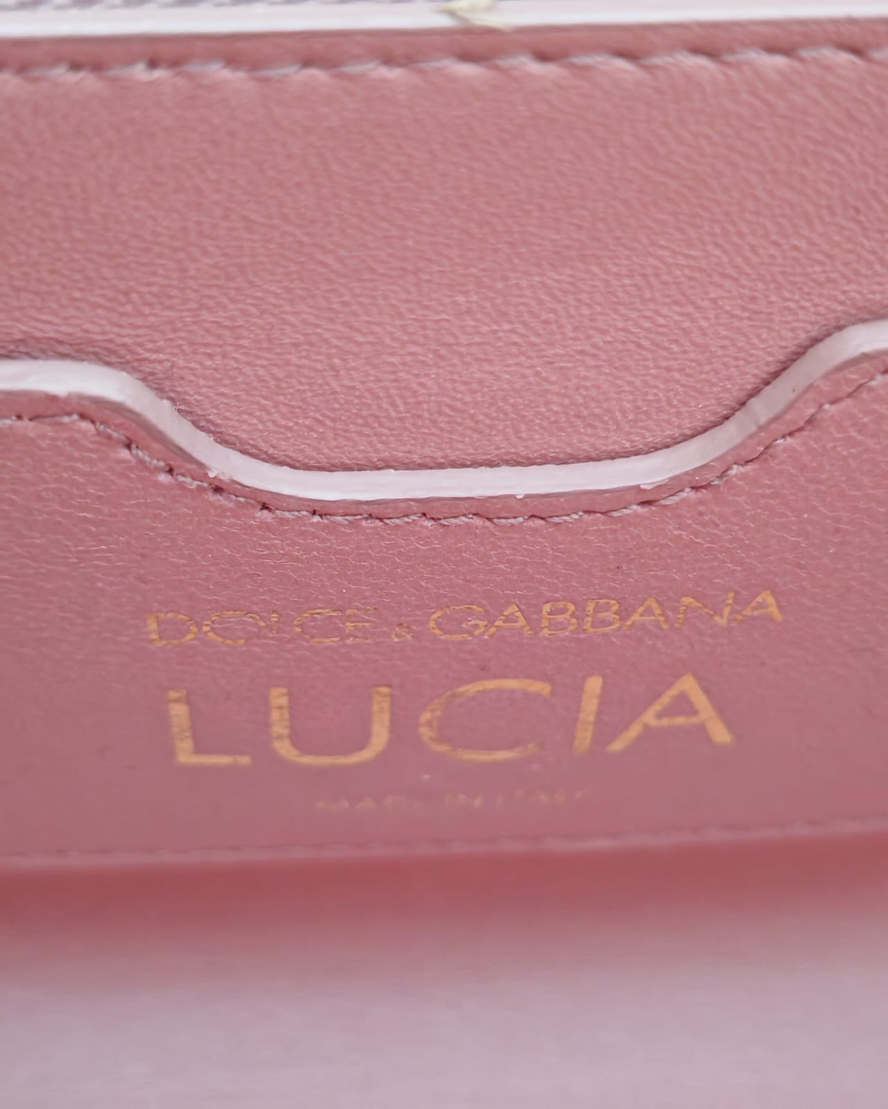 Dolce & Gabbana Lucia Lizard-Embossed Shoulder Bag in Burgundy